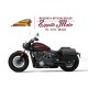 INDIAN SUPER SCOUT 1250 cc - 2025