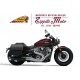 INDIAN SUPER SCOUT 1250 cc - 2025