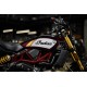 INDIAN FTR 1200 RSD SUPER HOOOLIGANS LIMITED